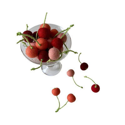 Wetnose Cherry 5 Set Cat Toy