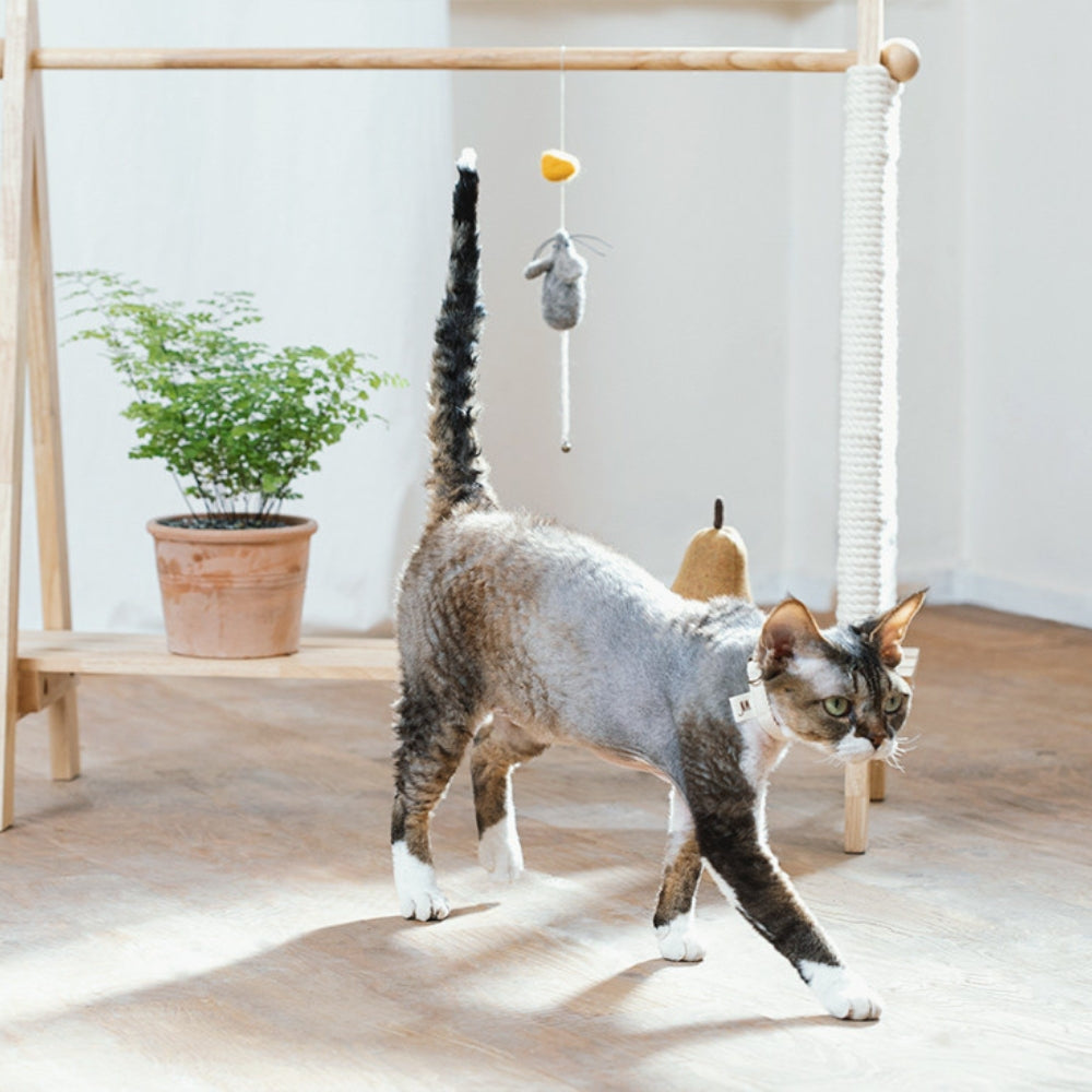 Wetnose Mouse & Cheese Cat Toy