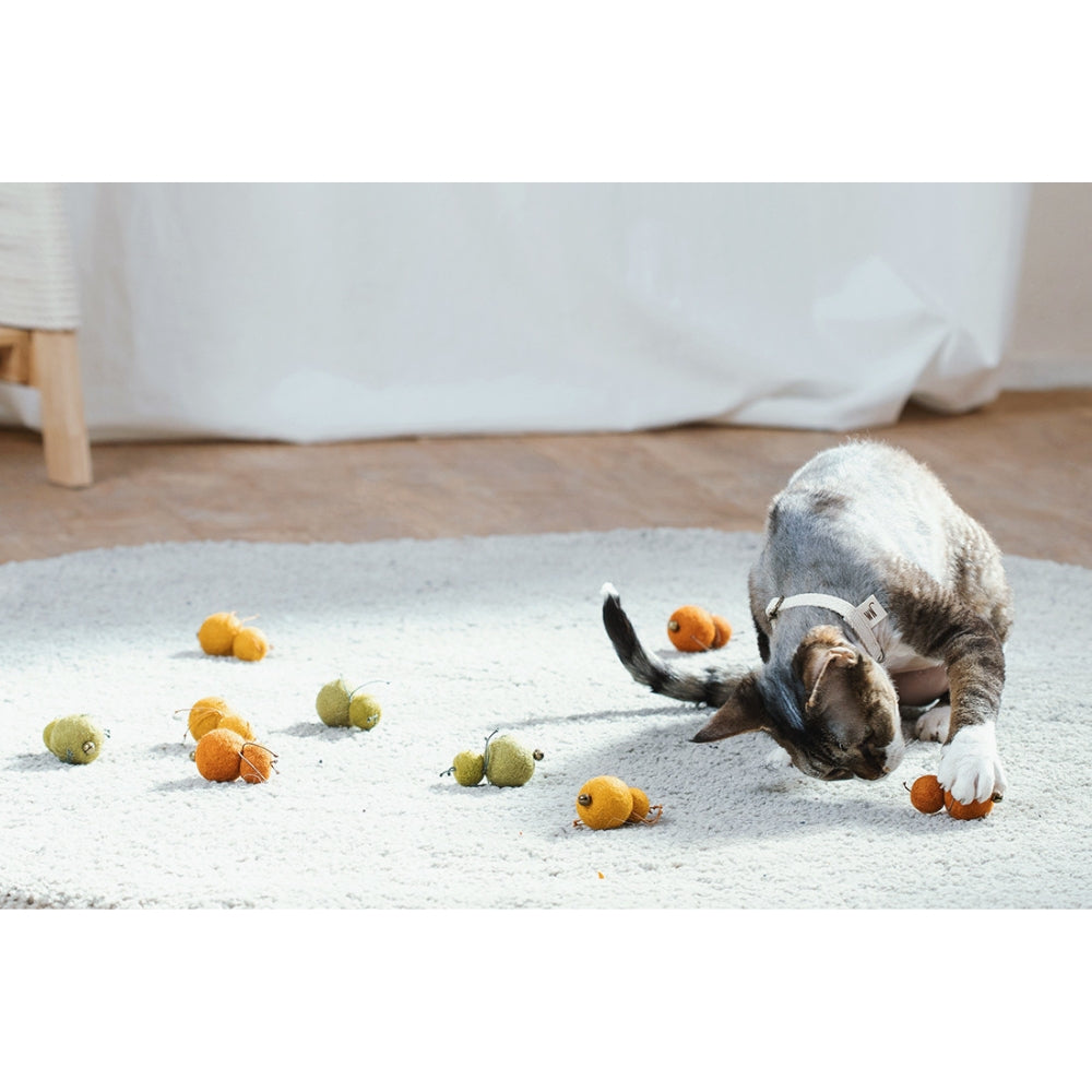 Wetnose ladybug Set Cat Toy
