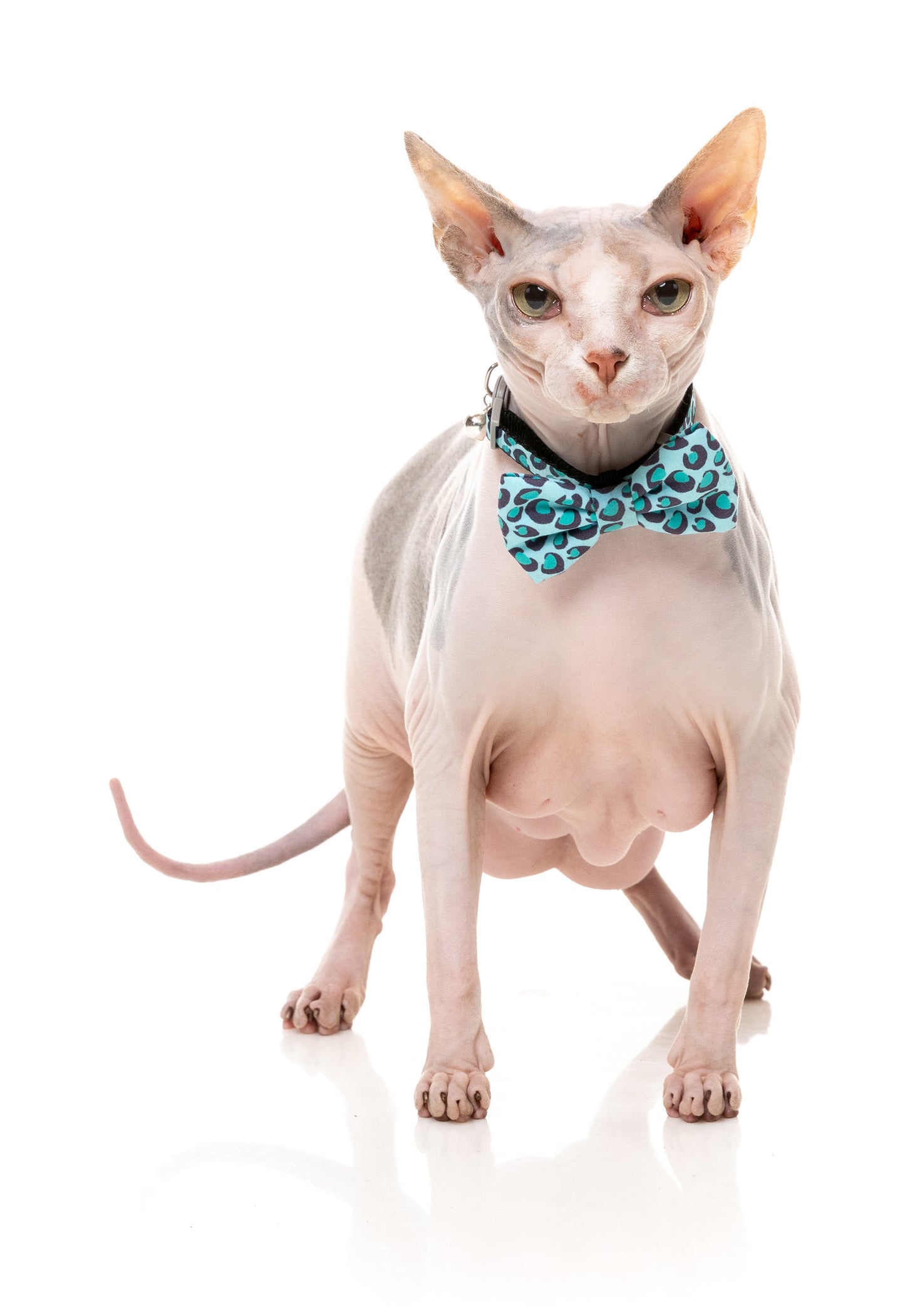 FuzzYard Cat Collar, Bandana & Bowtie Fashion Pack (assorted designs)