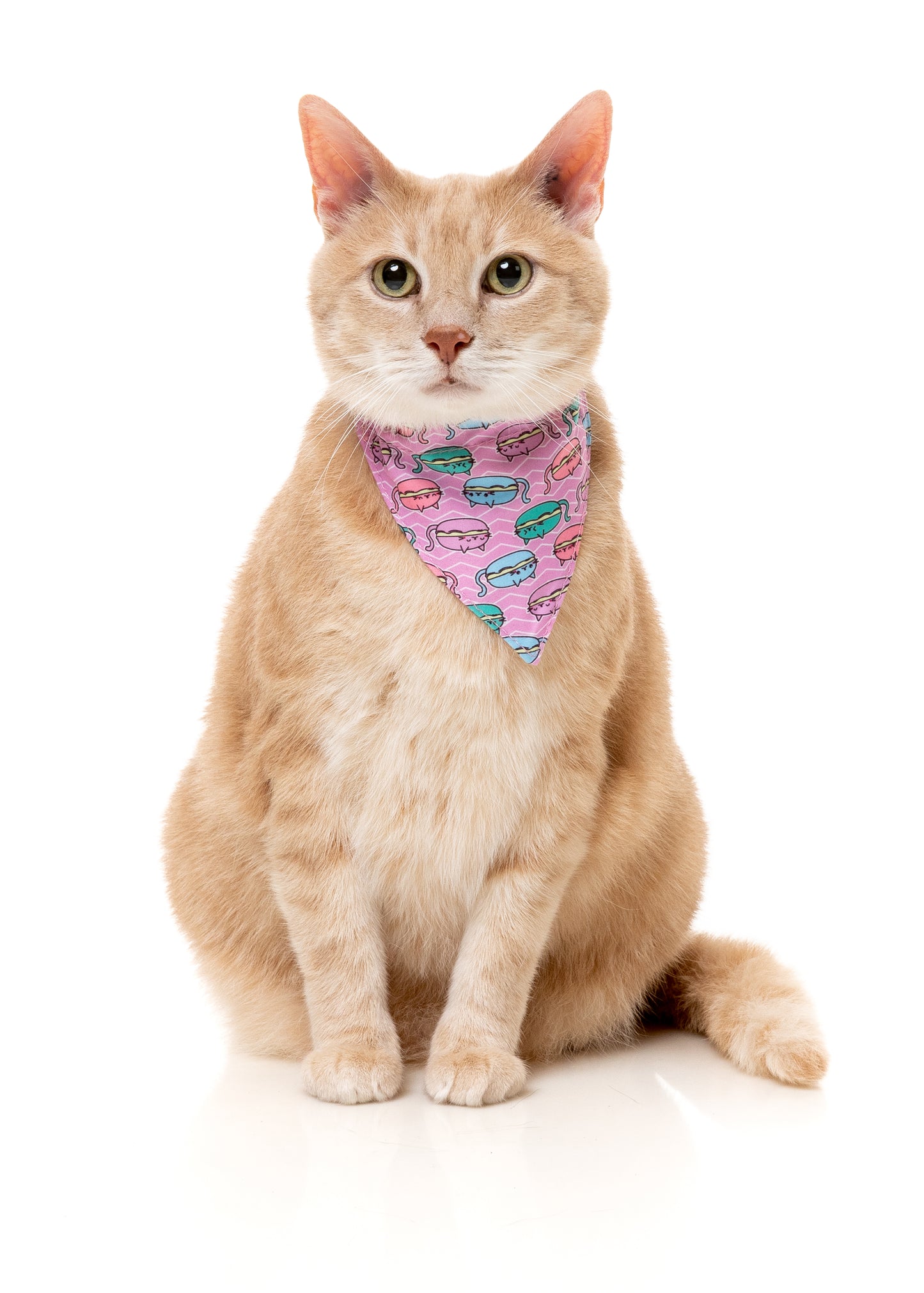 FuzzYard Cat Collar, Bandana & Bowtie Fashion Pack (assorted designs)