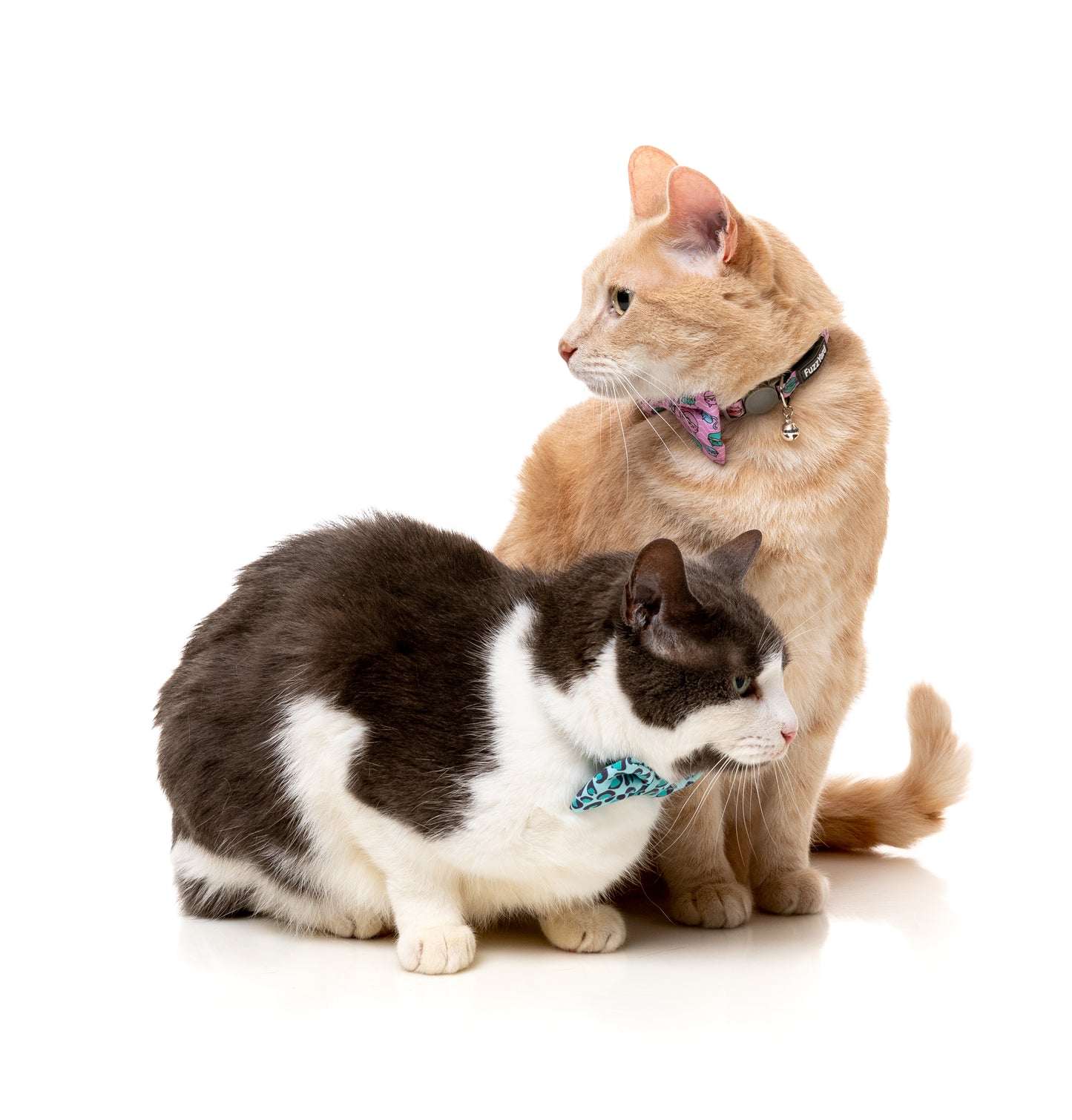 FuzzYard Cat Collar, Bandana & Bowtie Fashion Pack (assorted designs)