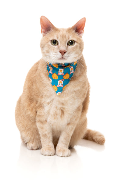 FuzzYard Cat Collar, Bandana & Bowtie Fashion Pack (assorted designs)