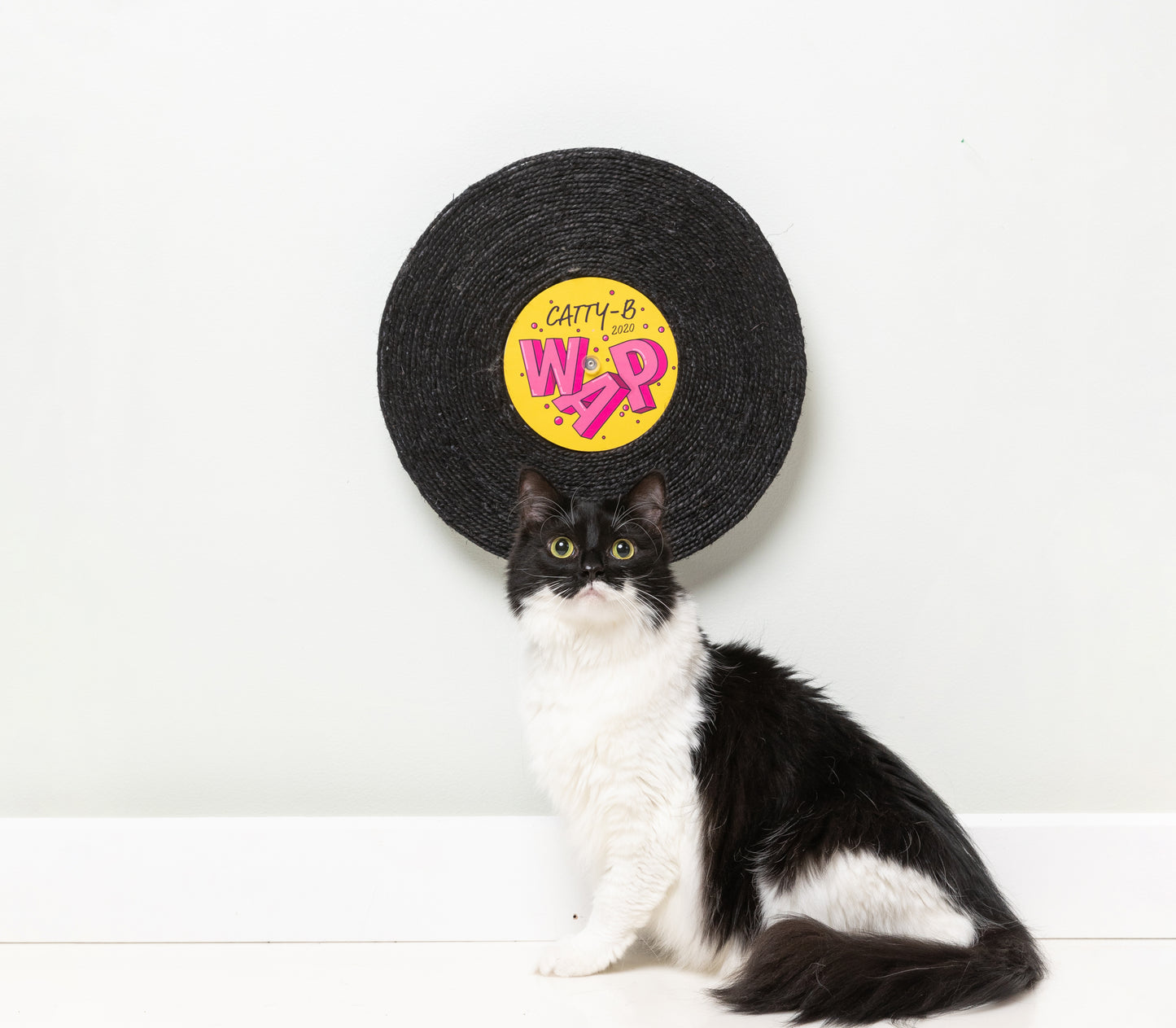 Fuzzyard Record Cat Scratcher (assorted designs)