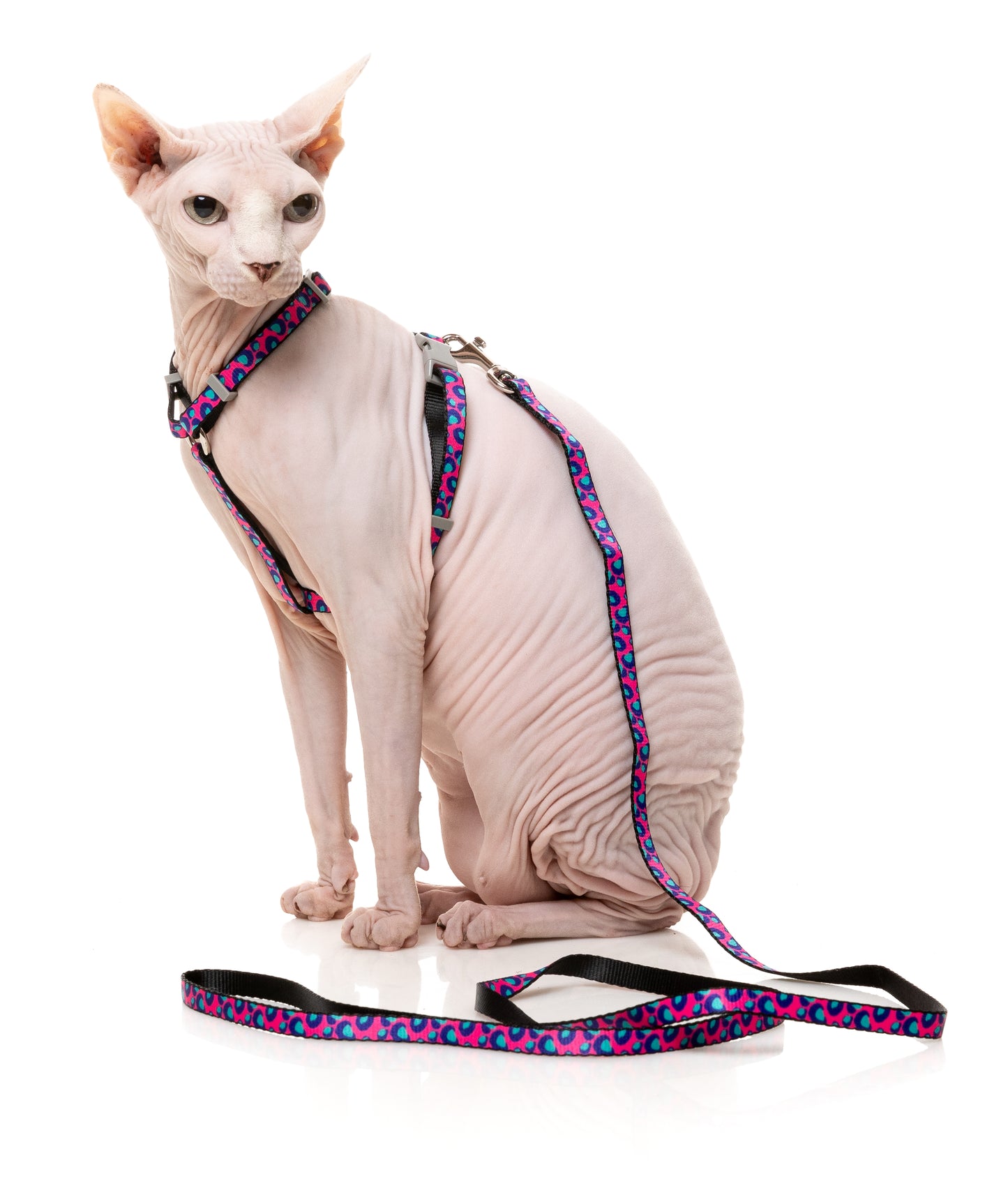 FuzzYard Cat Walking Set (assorted designs)