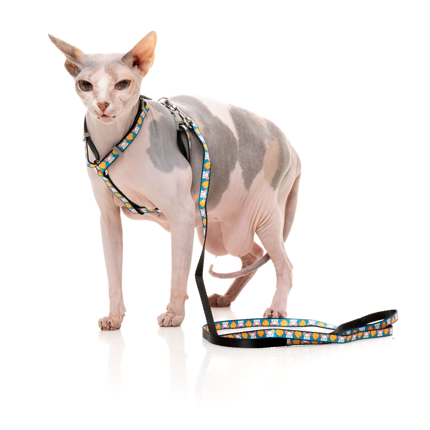 FuzzYard Cat Walking Set (assorted designs)