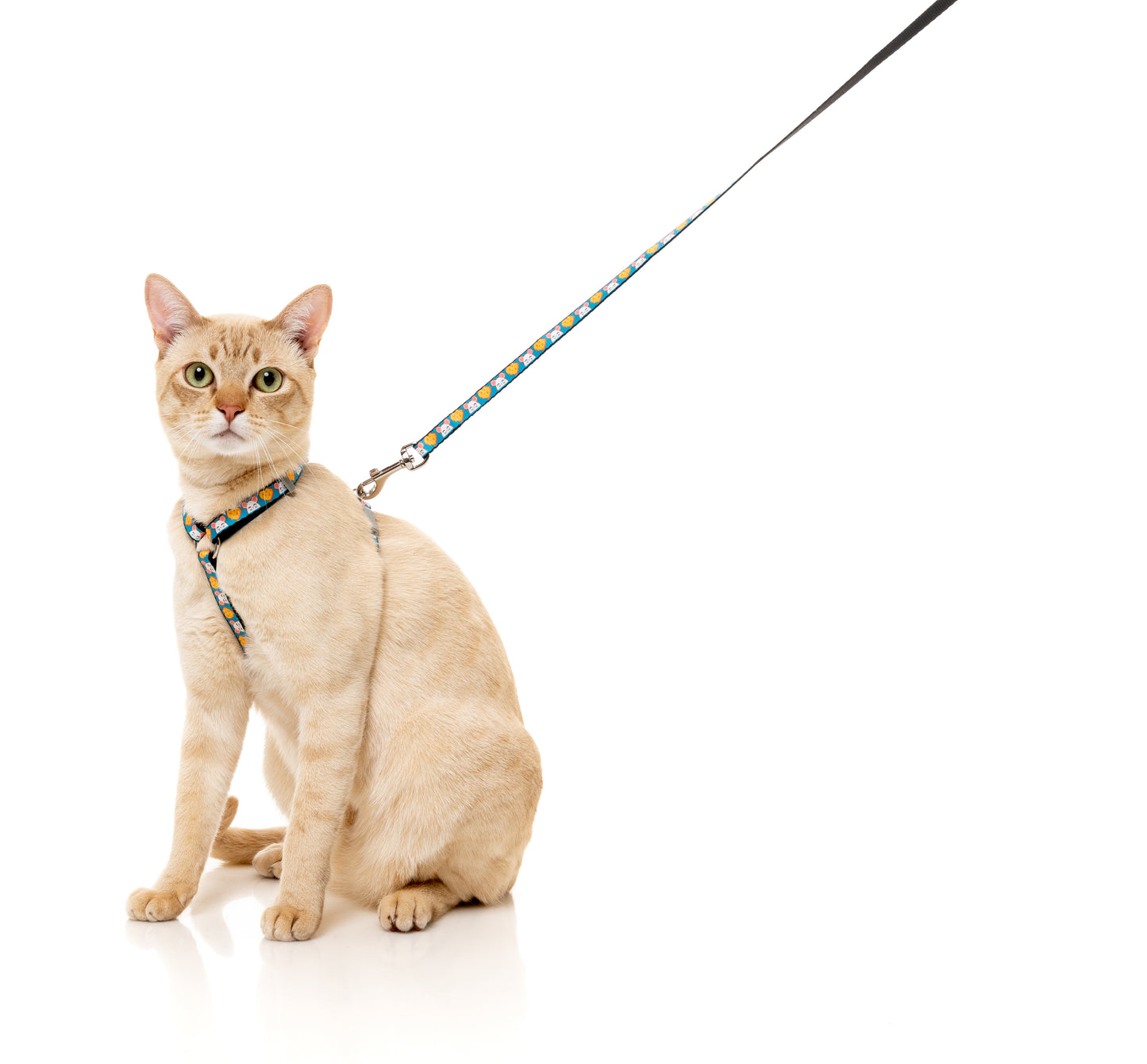 FuzzYard Cat Walking Set (assorted designs)