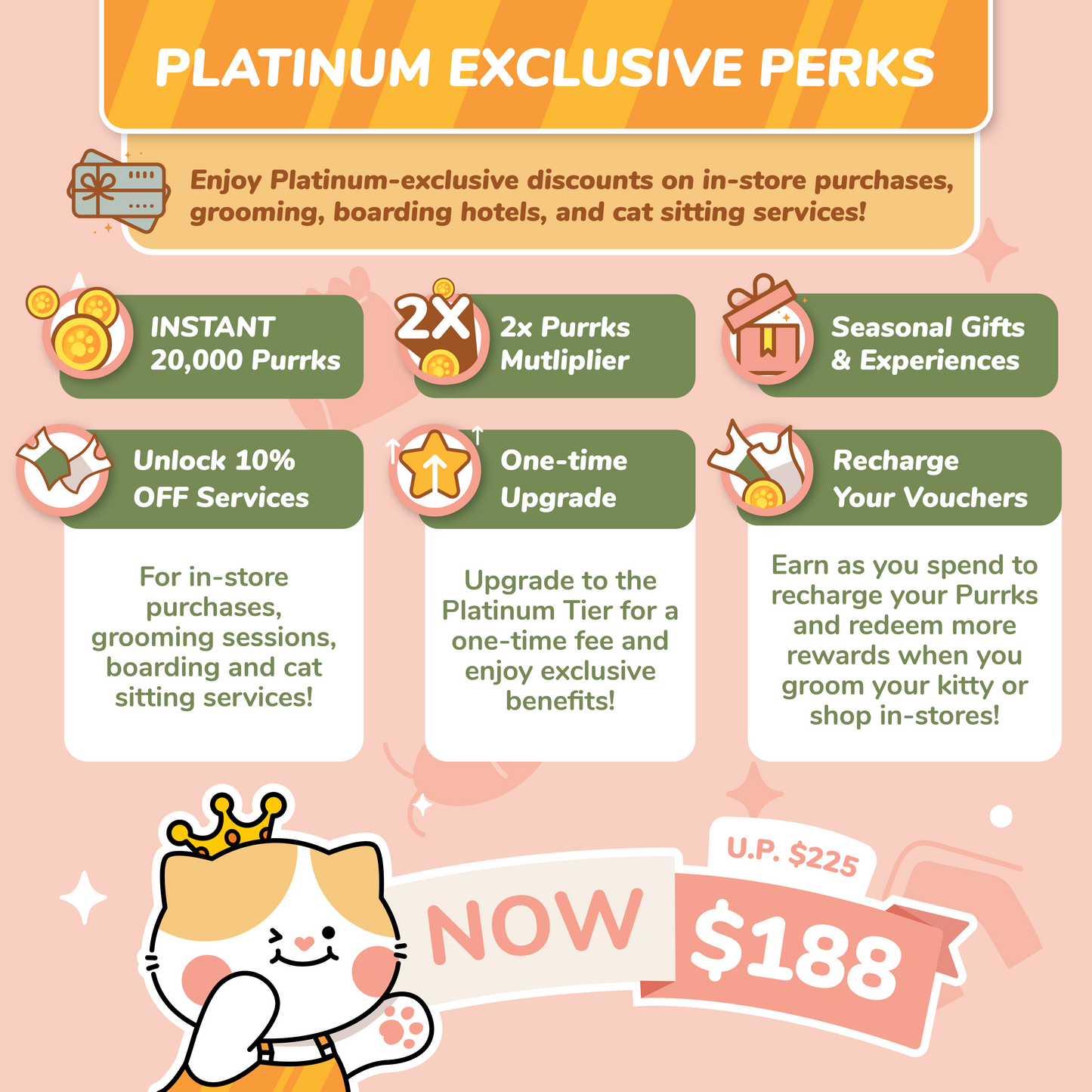 Platinum Membership ACE2025 ($88 U.P $225)