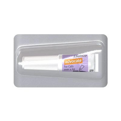 Advocate for Cats 4kg to 8kg (3pcs x 0.8ml)