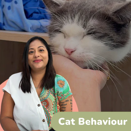 Cat Care Foundations Series Bundle (4 Classes)