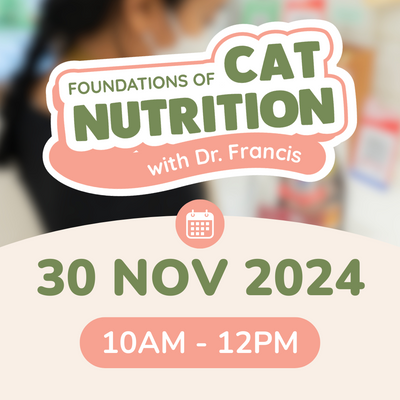 Foundations of Cat Nutrition Workshop - 30 Nov | 10AM - 12PM