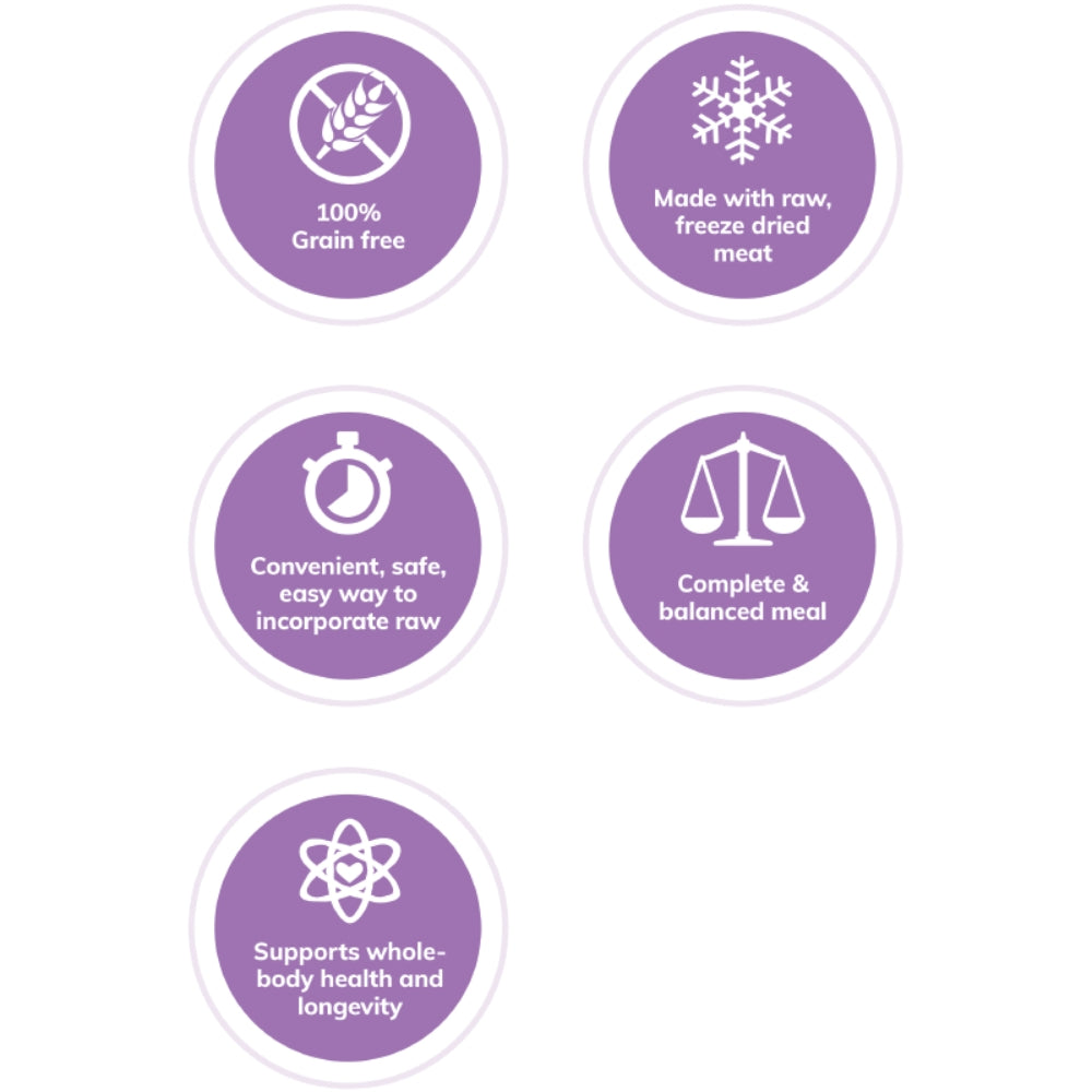 Wellness CORE Indoor Salmon & Herring Dry Cat Food