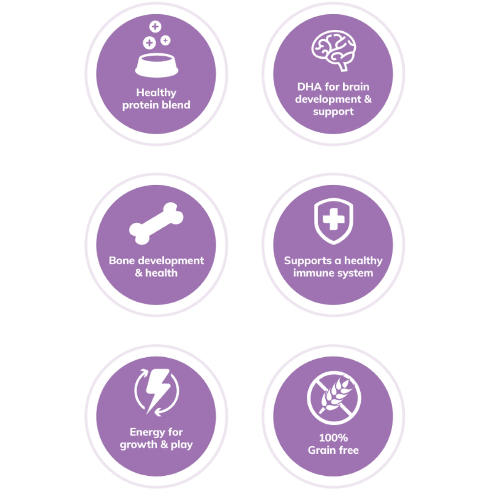 Wellness Core Kitten Deboned Turkey, Turkey Meal & Deboned Chicken Dry Cat Food