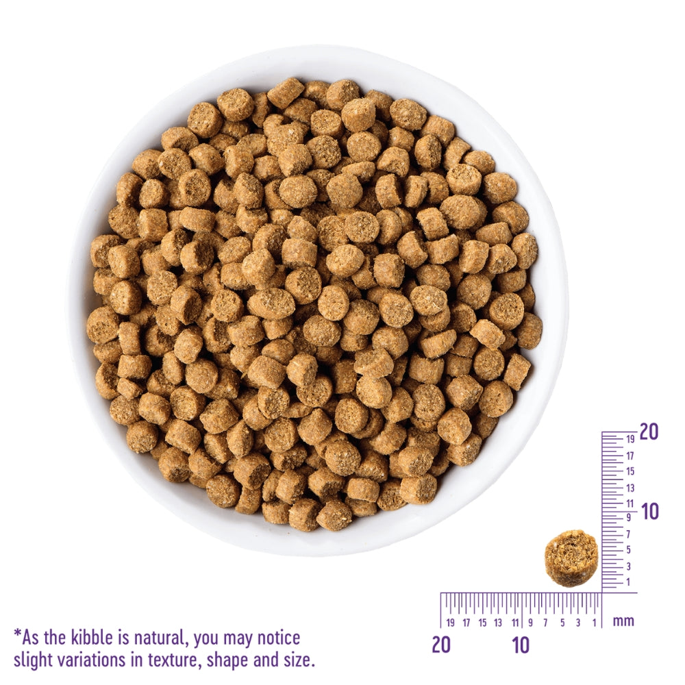 Wellness CORE Indoor Deboned Chicken, Turkey & Chicken Meals Dry Cat Food