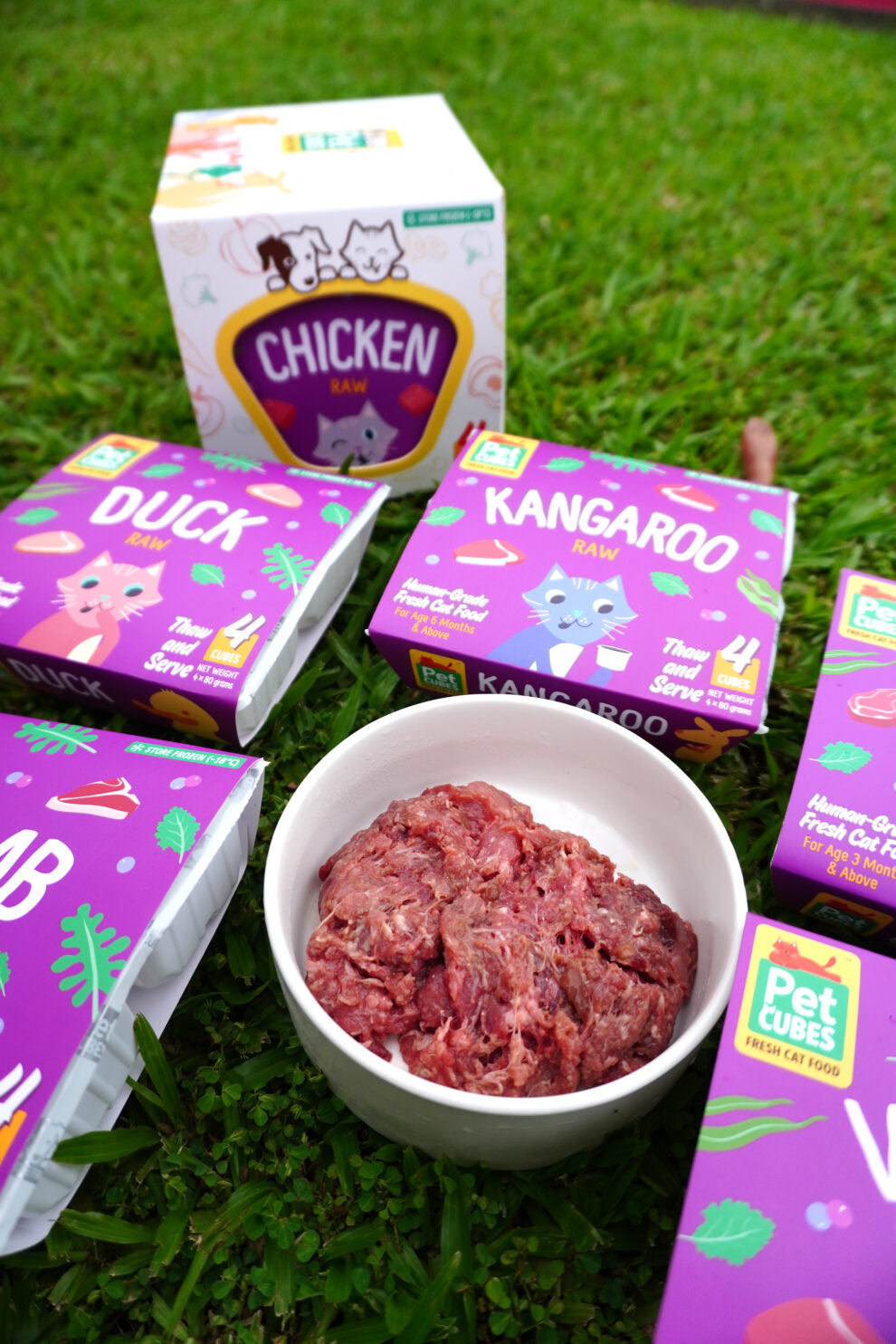 PetCubes Chicken Frozen Raw Cat Food