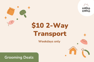 $10/Cat 2 Way Transport
