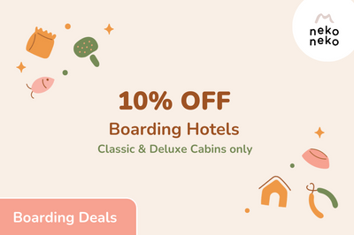 10% OFF Classic / Deluxe Cabins
