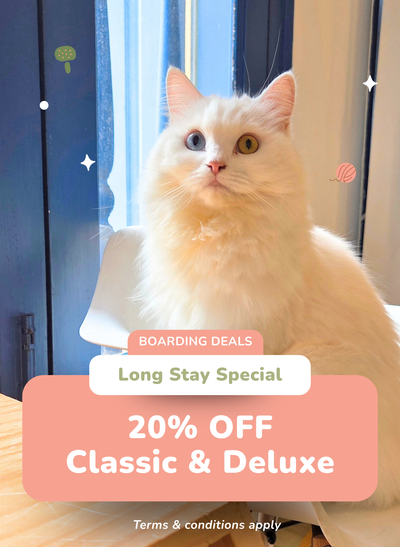 20% OFF Classic & Deluxe Cabins