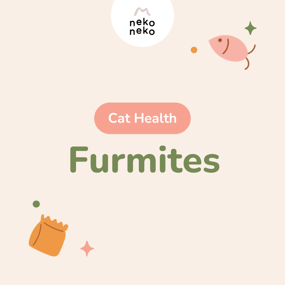 Cat Health: Furmites