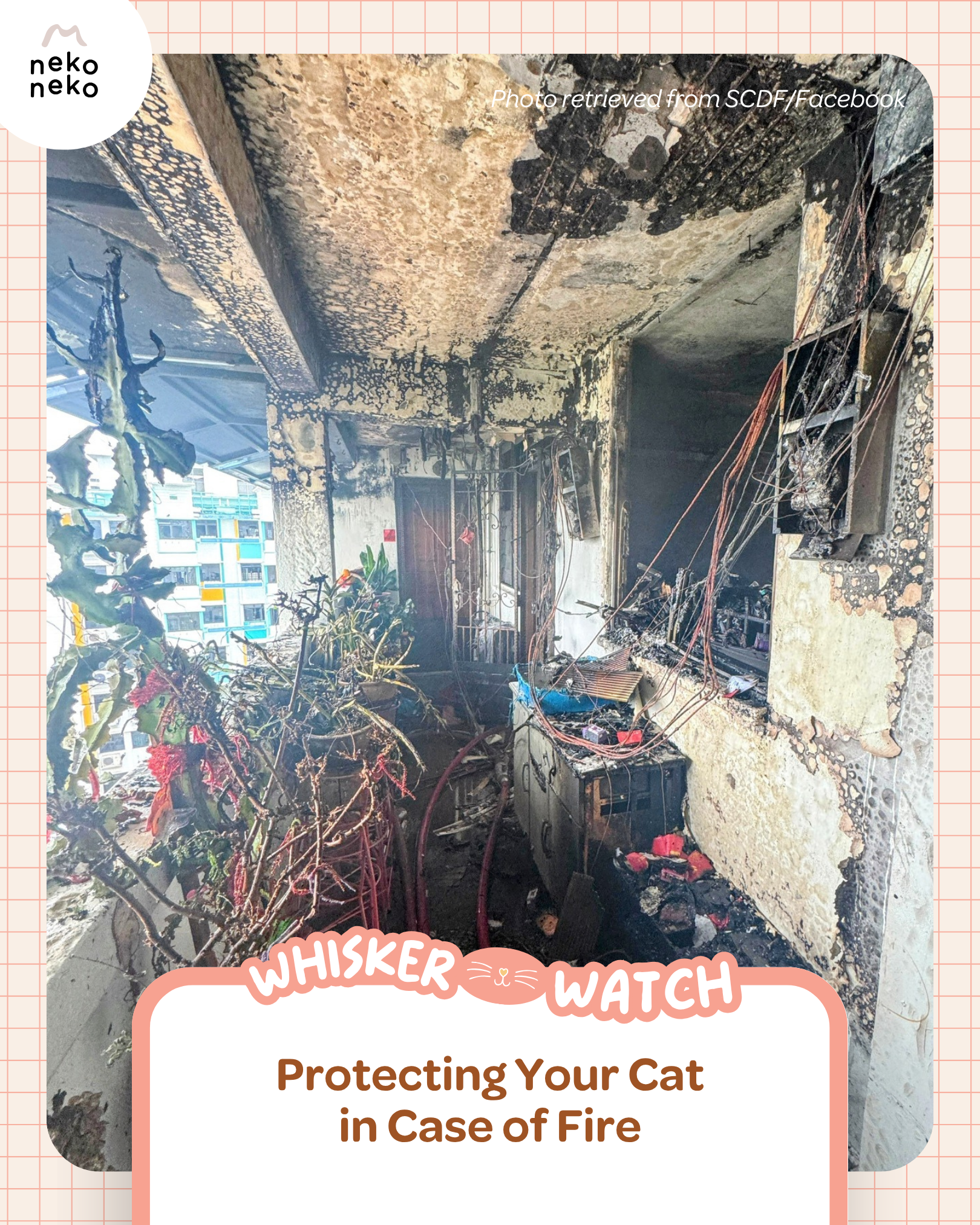 Whisker Watch: Protecting Your Cat in Case of Fire
