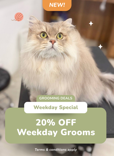 20% OFF Weekday Grooms (Holland Village & Kampong Bahru)