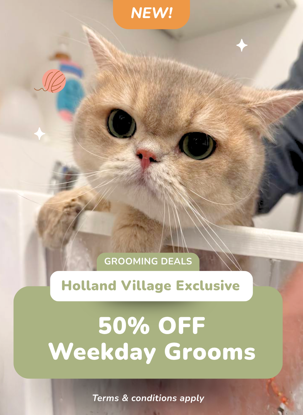50% OFF Weekday Grooms at Holland Village