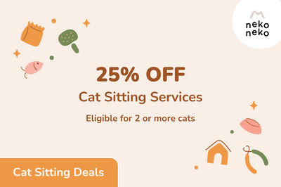 25% OFF Cat Sitting