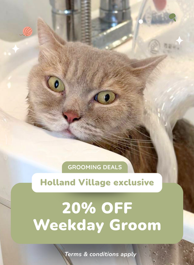 20% OFF Weekday Grooms at Holland Village