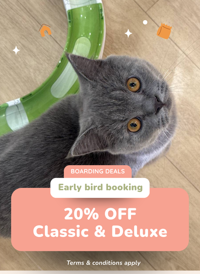 20% OFF Classic & Deluxe Cabins