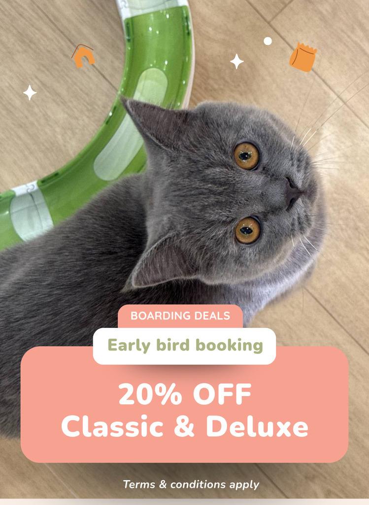20% OFF Classic & Deluxe Cabins