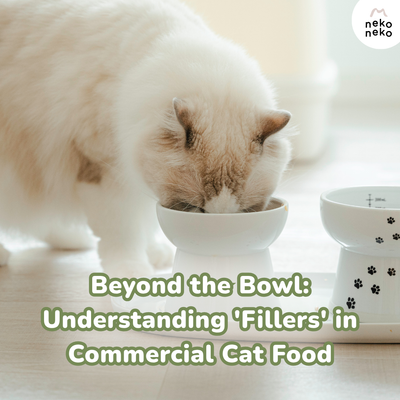 Beyond the Bowl: Understanding 'Fillers' in Commercial Cat Food