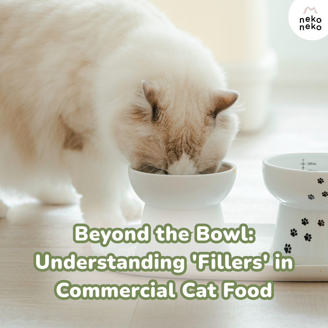 Beyond the Bowl: Understanding 'Fillers' in Commercial Cat Food