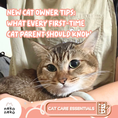 New Cat Owner Tips: What Every First-Time Cat Parent Should Know