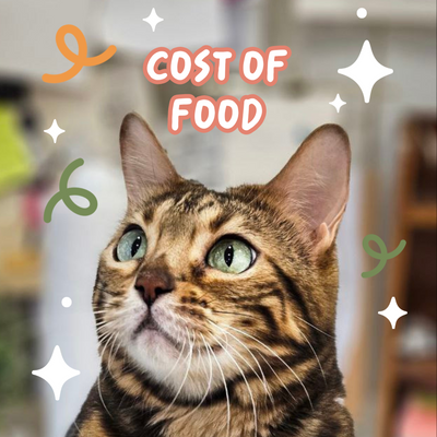 The cost of feeding your cat