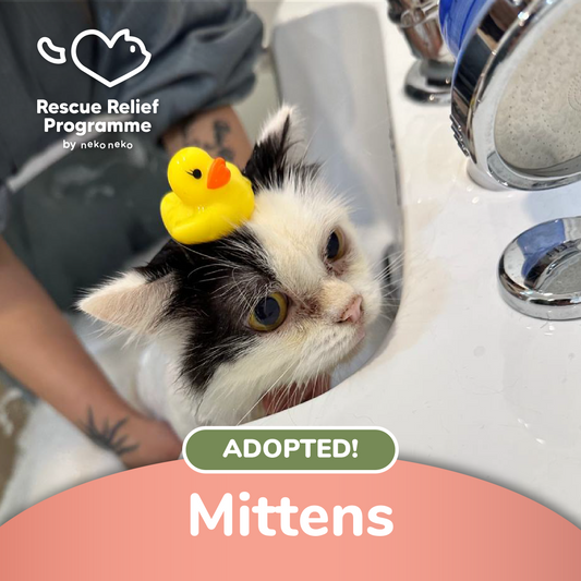 Mittens