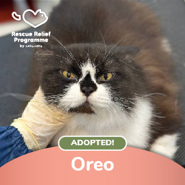 Oreo