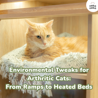 Environmental Tweaks for Arthritic Cats: From Ramps to Heated Beds
