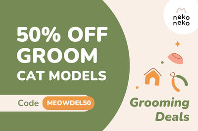 50% OFF Grooming for Cat Models