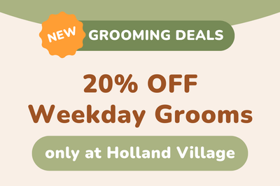 20% OFF Weekday Grooms at Holland Village