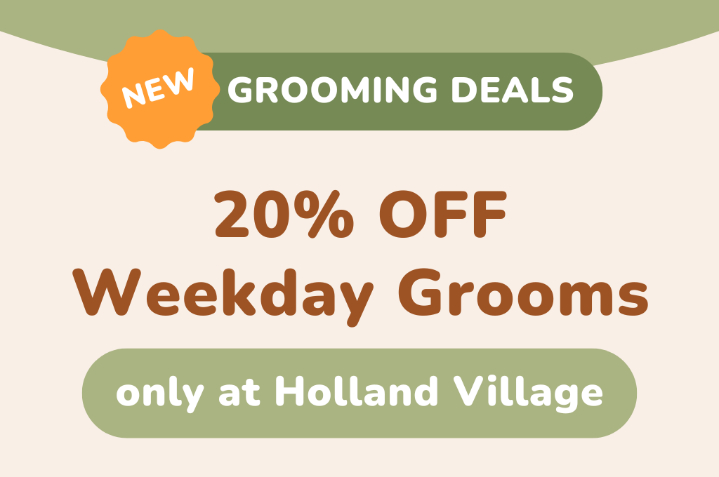 20% OFF Weekday Grooms at Holland Village