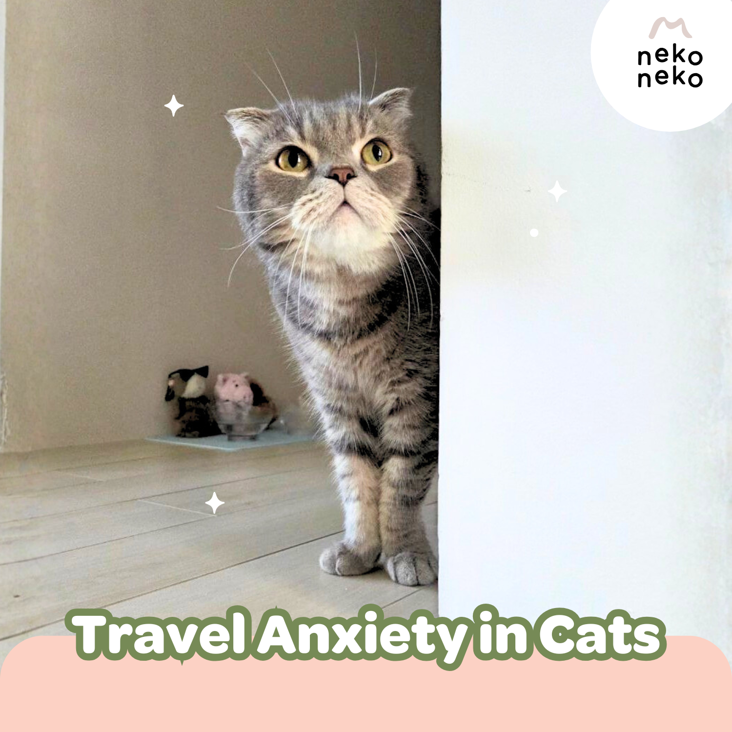 Travel Anxiety in Cats: Signs and Soothing Tips for Stress-Free Journeys
