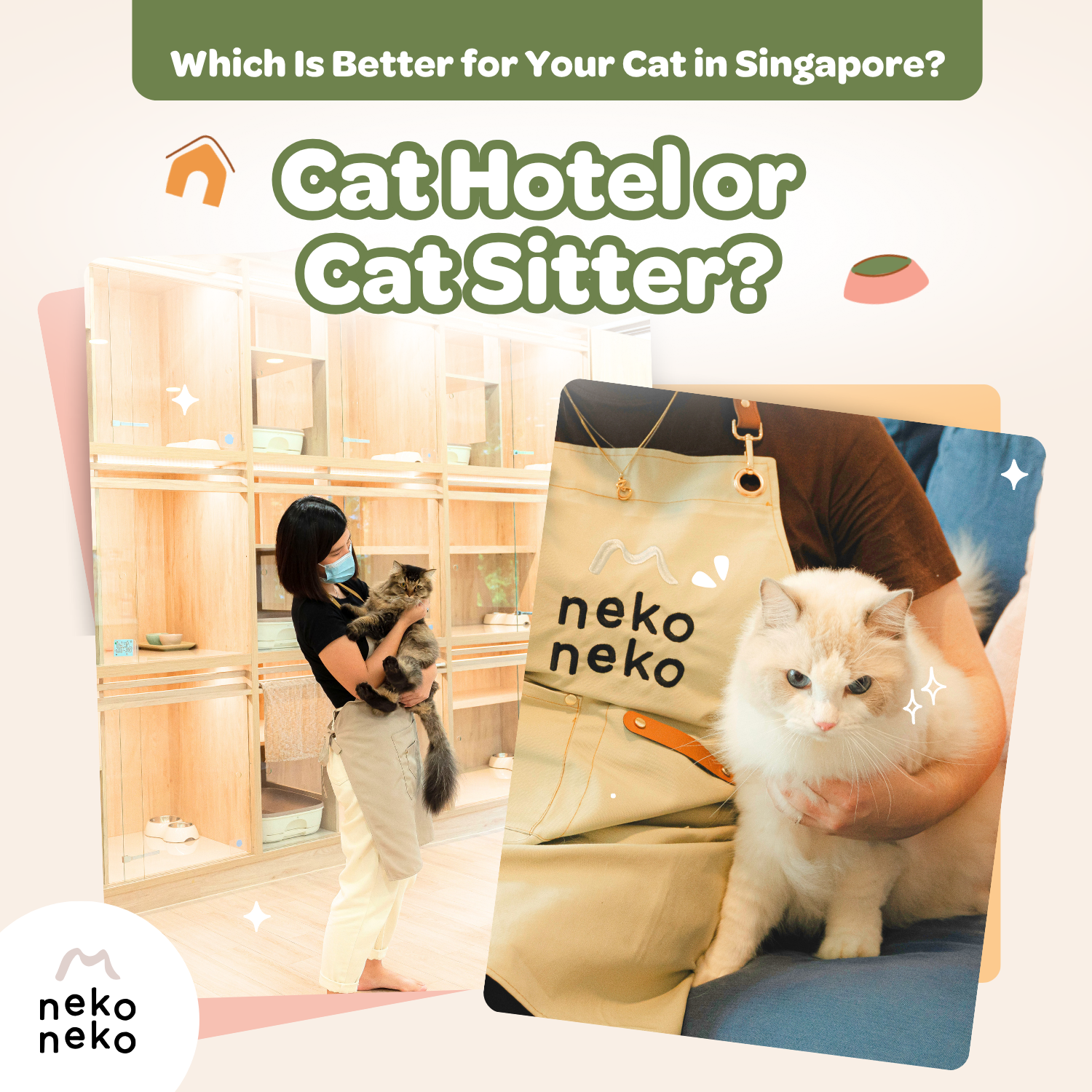 Cat Hotel or Cat Sitter: Which Is Better for Your Cat in Singapore?
