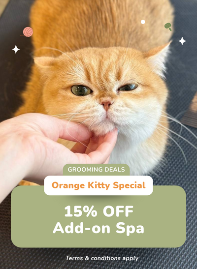 15% OFF Add-on Spa