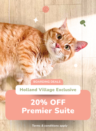 20% OFF Premier Suite at Holland Village