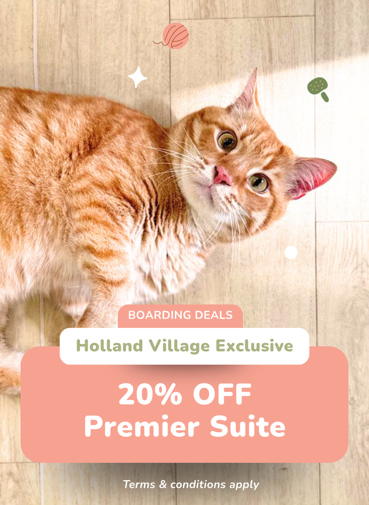 20% OFF Premier Suite at Holland Village