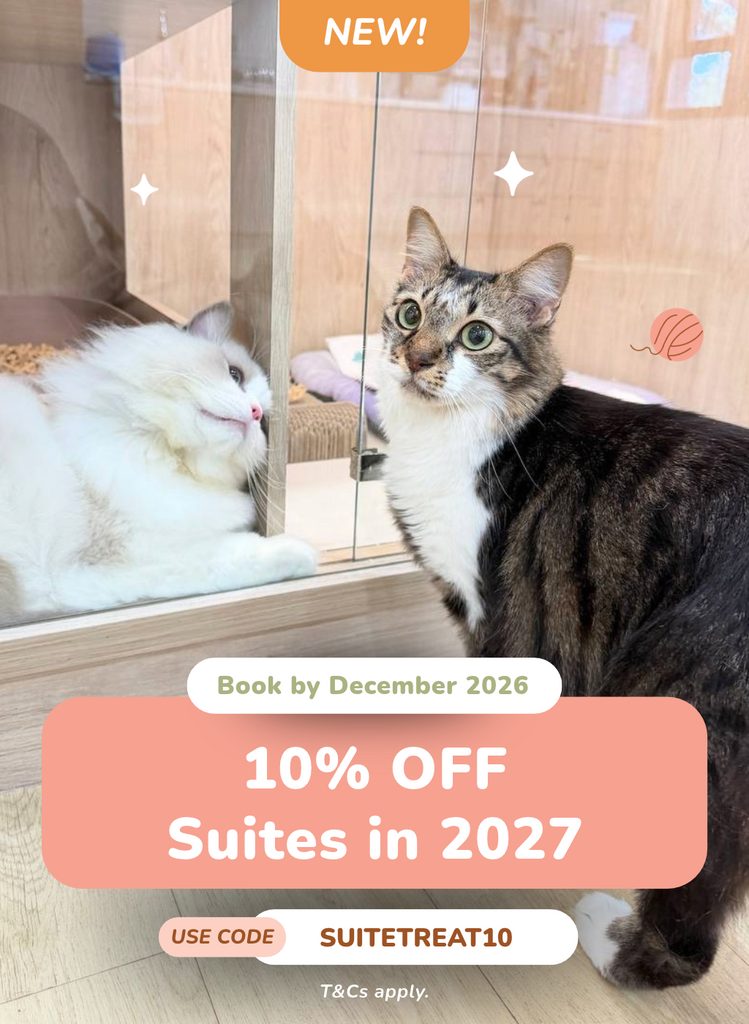 10% OFF Your 2027 Suite Stay