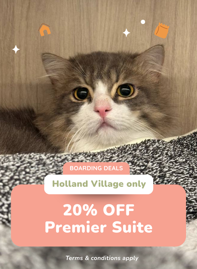 20% OFF Premier Suite at Holland Village