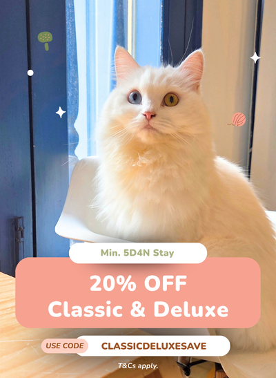 20% OFF Classic & Deluxe Cabins
