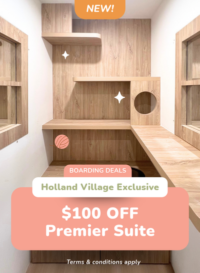 $100 OFF Premier Suite at Holland Village