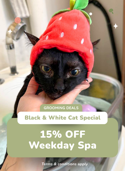 15% OFF Add-on Spa